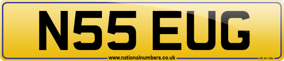 N55 EUG