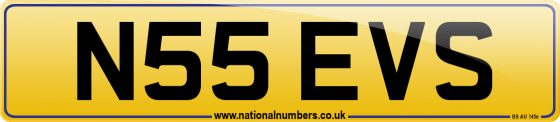 N55 EVS