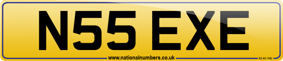N55 EXE