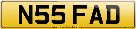 N55 FAD
