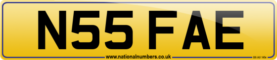 N55 FAE