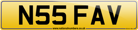 N55 FAV