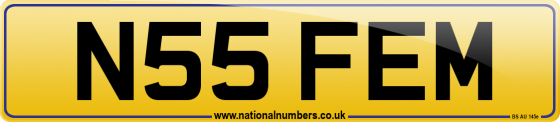 N55 FEM