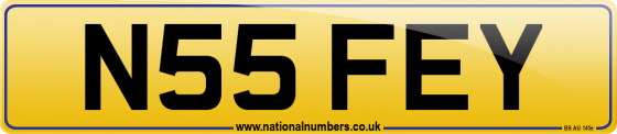 N55 FEY