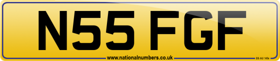 N55 FGF