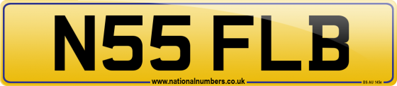 N55 FLB