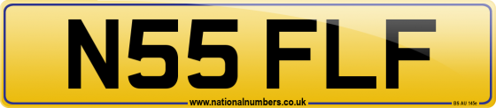 N55 FLF