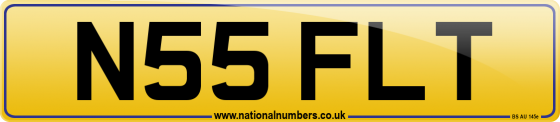 N55 FLT