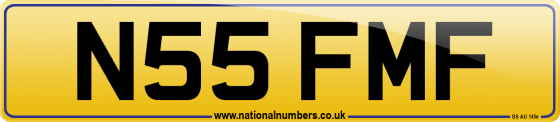 N55 FMF