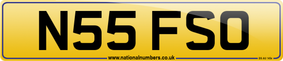 N55 FSO