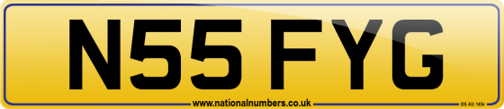 N55 FYG