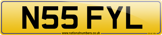 N55 FYL