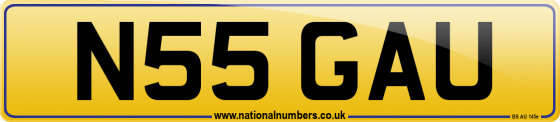 N55 GAU