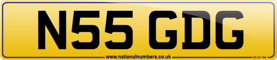 N55 GDG