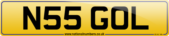 N55 GOL