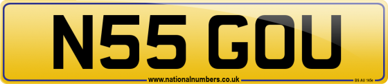 N55 GOU