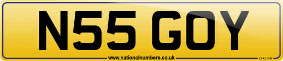 N55 GOY