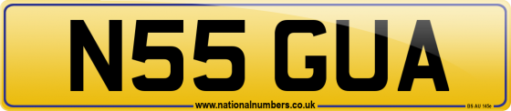 N55 GUA