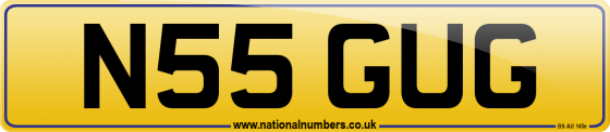 N55 GUG