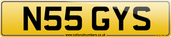N55 GYS