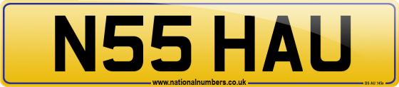 N55 HAU