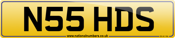 N55 HDS