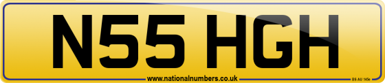 N55 HGH