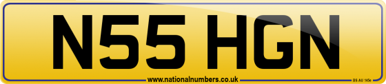 N55 HGN