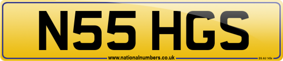 N55 HGS