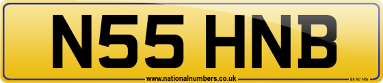 N55 HNB