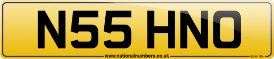 N55 HNO