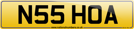 N55 HOA