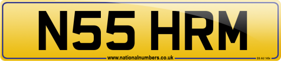 N55 HRM
