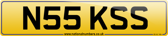 N55 KSS