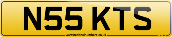 N55 KTS