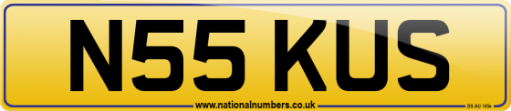 N55 KUS