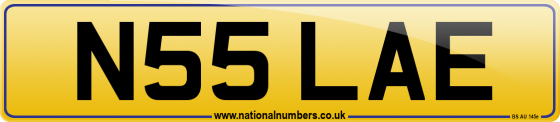 N55 LAE