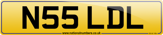N55 LDL