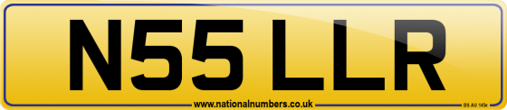 N55 LLR