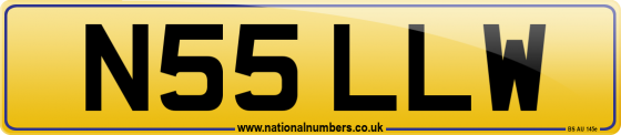 N55 LLW