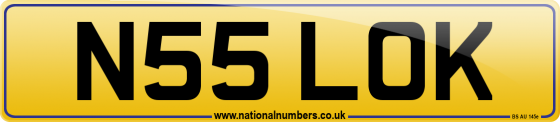 N55 LOK