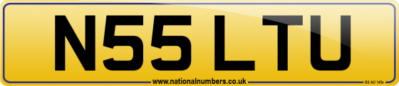 N55 LTU