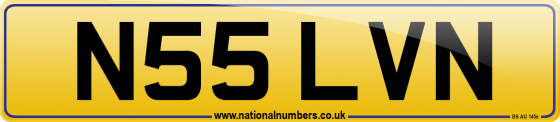 N55 LVN