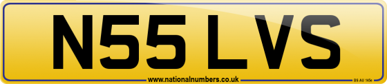 N55 LVS