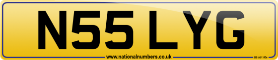 N55 LYG