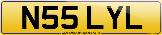 N55 LYL