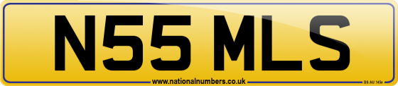 N55 MLS