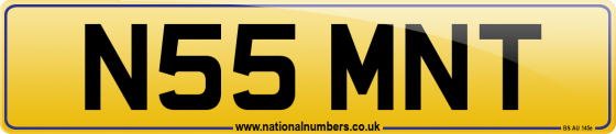 N55 MNT