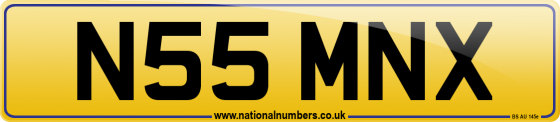 N55 MNX