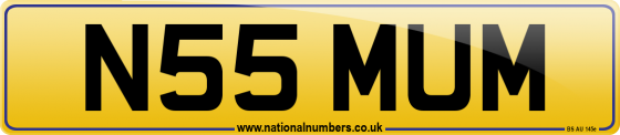 N55 MUM